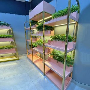 Thanh Lý Bộ Kệ Trưng Bày Cũ Sang Trọng