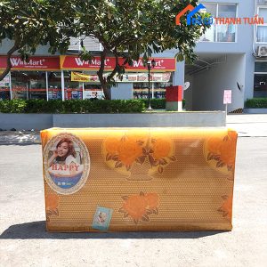 Thanh Lý Nệm PE Hàn Quốc Tồn Kho
