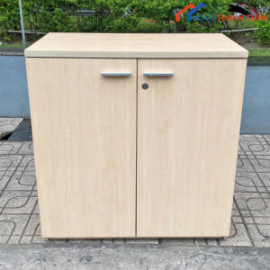 Tủ Hồ Sơ Nhỏ Gọn 2 Cánh Cũ Giá Rẻ