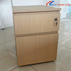 Tủ Hồ Sơ Cũ Thiết Kế 2 Ngăn Nhỏ Gọn (Nhiều Mẫu)