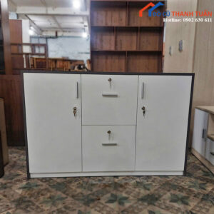 Thanh Lý Tủ Hồ Sơ 1M2x40CM Hiện Đại Mới 99%