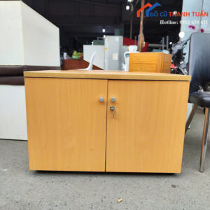 Tủ Hồ Sơ Cũ 58CMx60CM Vân Gỗ Có 2 Cánh (Nhiều Mẫu)