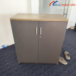 tu-ho-so-cu-80cmx40cm-thiet-ke-2-canh-mau-xam