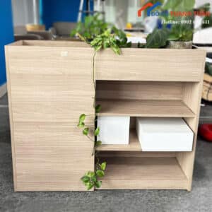 Kệ Trang Trí Kết Hợp Trồng Cây Cũ Màu Gỗ Sáng